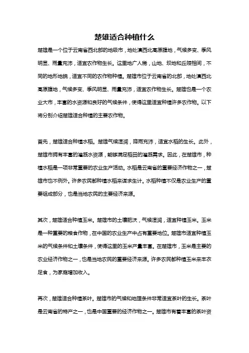 楚雄适合种植什么