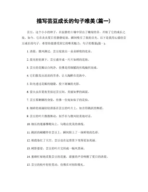 描写芸豆成长的句子唯美(精选两篇)