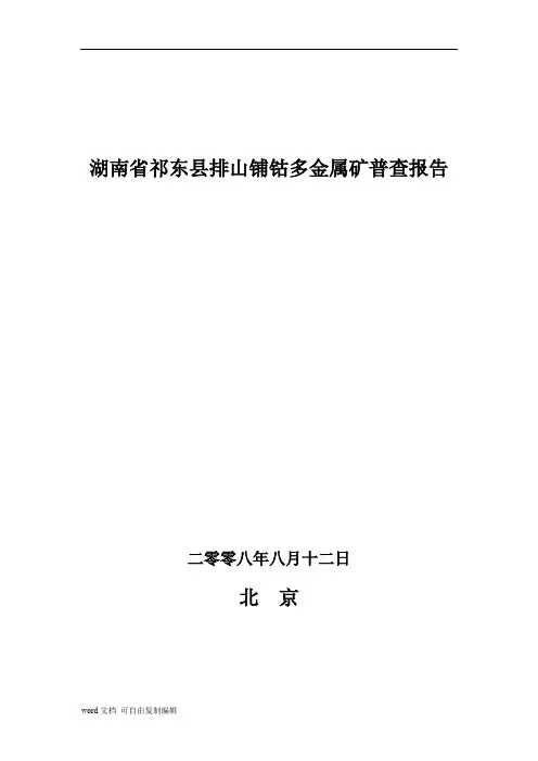 南省祁东县排山钴多金属矿普查报告