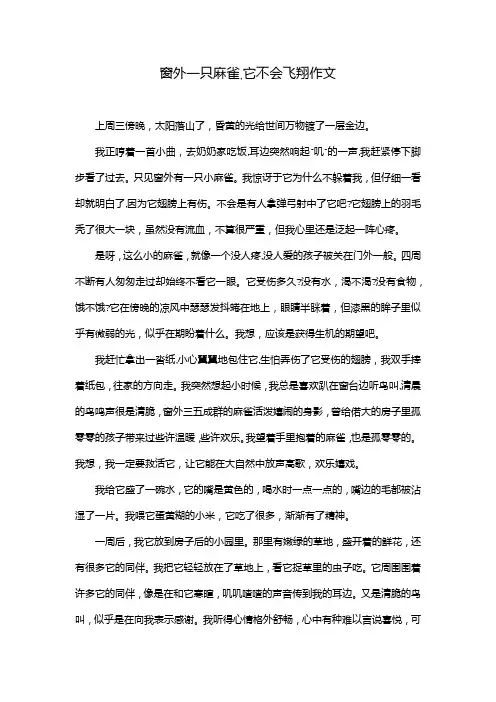 窗外一只麻雀,它不会飞翔作文