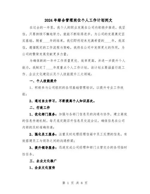 2024年综合管理岗位个人工作计划例文（五篇）