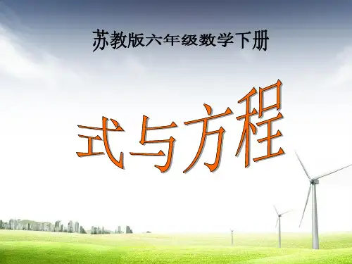 最新苏教版小学六年级数学下册 式与方程精品ppt课件
