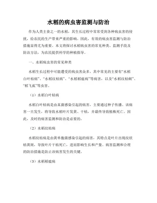 水稻的病虫害监测与防治