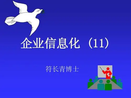 企业信息化课件11