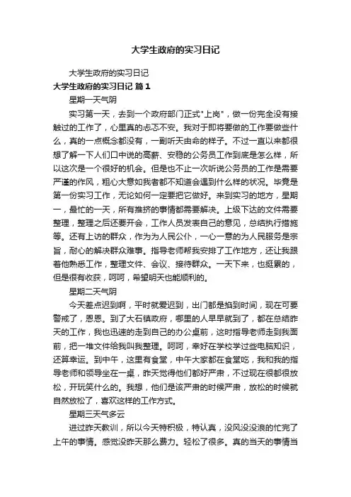 大学生政府的实习日记
