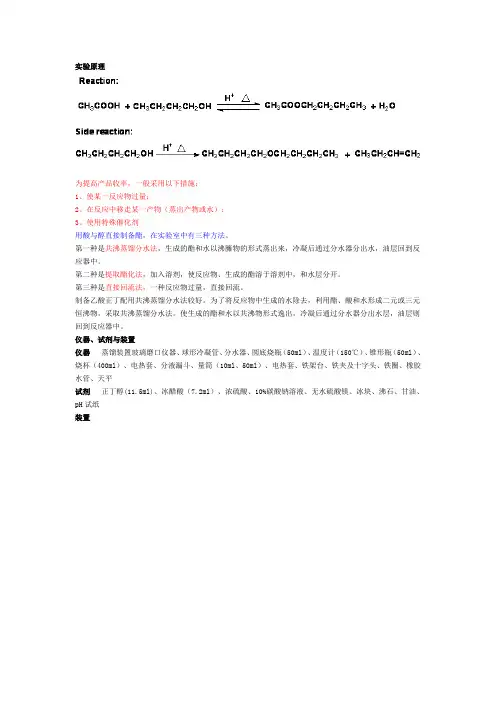 乙酸正丁酯的合成