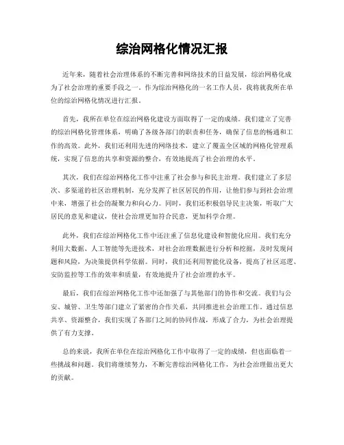 综治网格化情况汇报