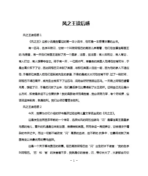 风之王读后感