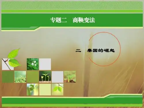 2018年历史同步优化指导人民版选修1课件：专题2-2 秦