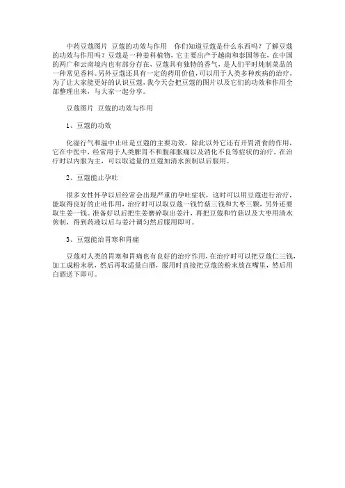 中药豆蔻图片 豆蔻的功效与作用