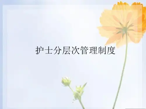 护士分层级管理制度