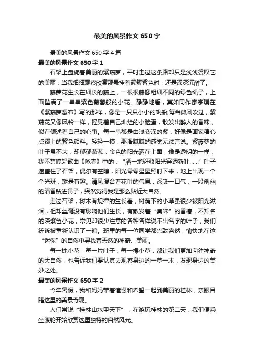 最美的风景作文650字