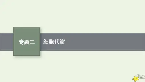 高考生物二轮复习专题2细胞代谢课件
