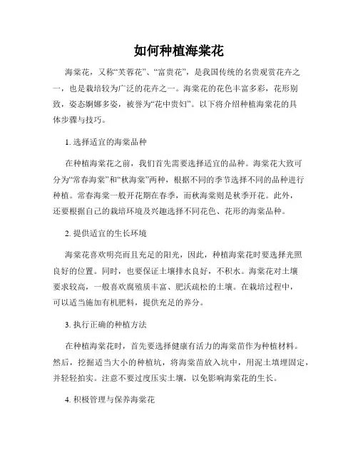 如何种植海棠花