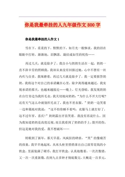 你是我最牵挂的人九年级作文800字