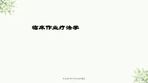 作业治疗学OT作业治疗概论课件