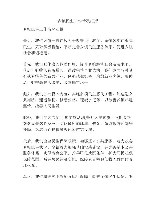 乡镇民生工作情况汇报
