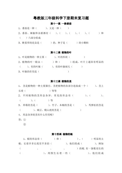 粤教版三年级下册科学期末复习题