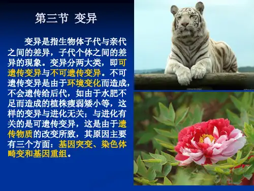 第三节变异ppt课件