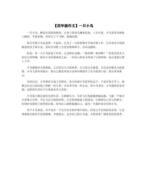 【四年级作文】一只小鸟