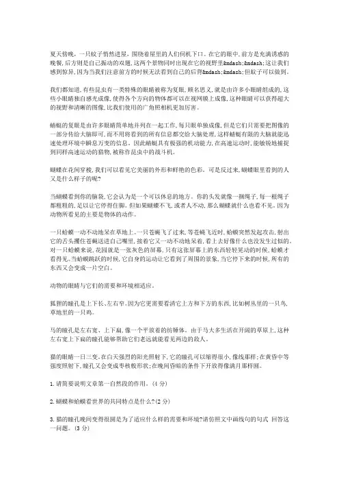 动物的眼睛 阅读答案