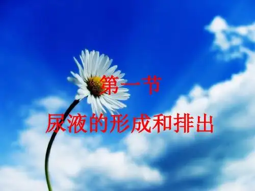 七年级下册生物课件-3.4.1《尿液的形成和排出(2)》课件3 济南版