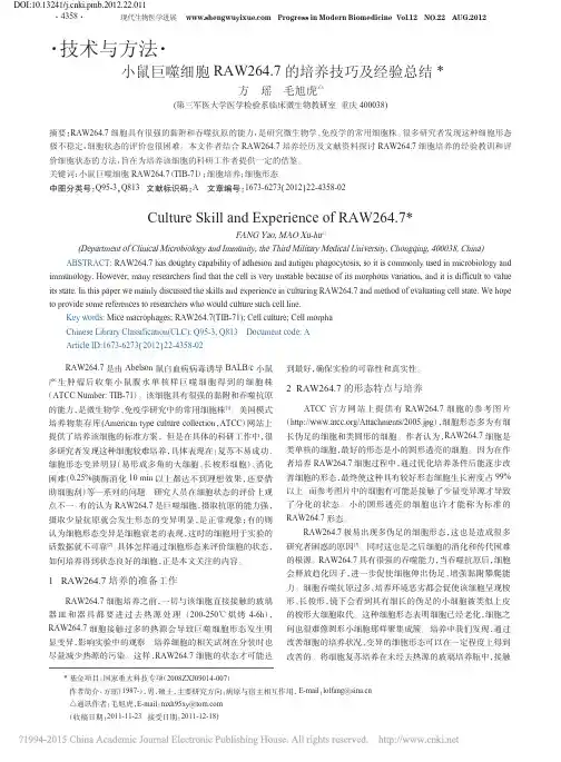小鼠巨噬细胞RAW264_7的培养技巧及经验总结