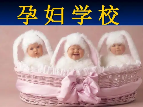 孕妇学校 ppt课件