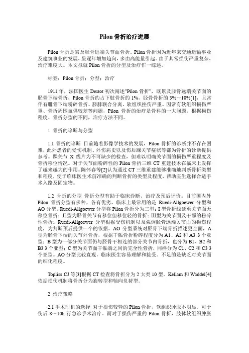 Pilon骨折治疗进展