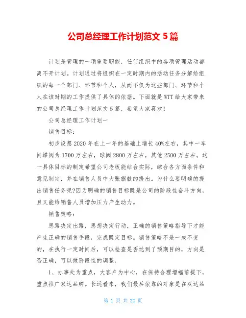 公司总经理工作计划范文5篇