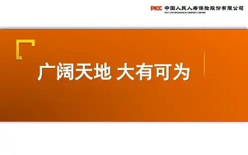 保险个险新人岗前培训之广阔天地 大有可为(2017版)