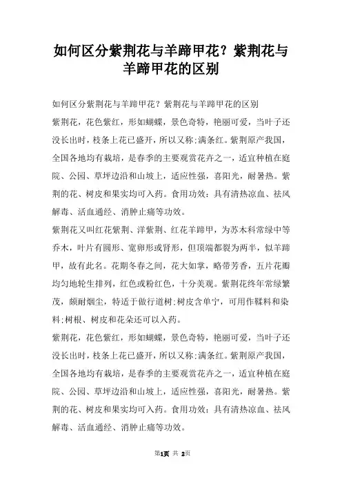 如何区分紫荆花与羊蹄甲花？紫荆花与羊蹄甲花的区别