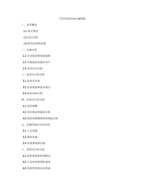 可行性研究报告编制纲