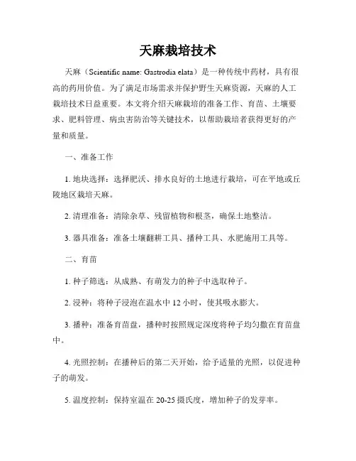 天麻栽培技术