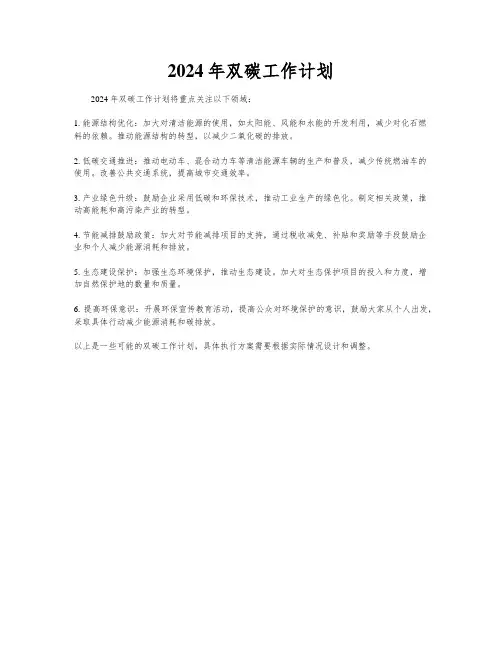 2024年双碳工作计划