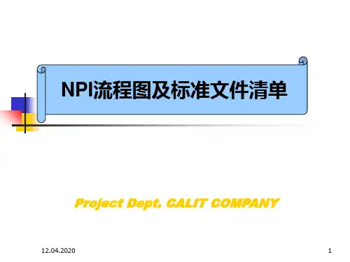 NPI培训资料NEWPPT课件
