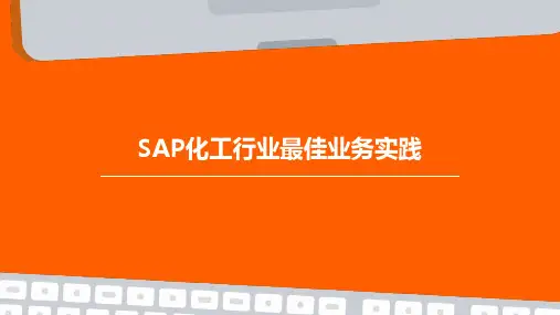 SAP化工行业最佳业务实践