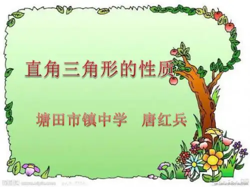 直角三角形的性质及判定(2)