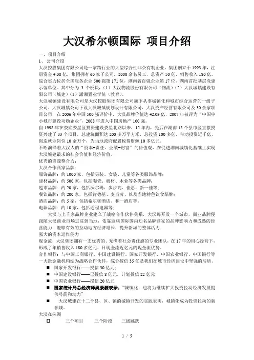 大汉希尔顿国际-项目介绍