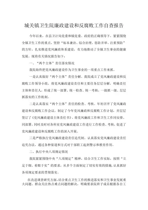 城关镇卫生院廉政建设和反腐败工作自查报告