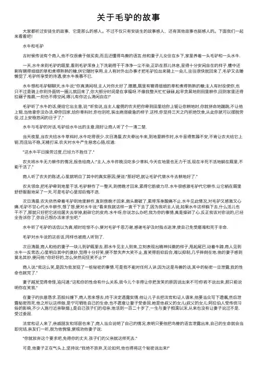 关于毛驴的故事