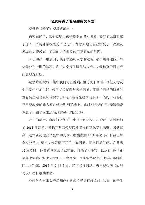 纪录片镜子观后感范文5篇