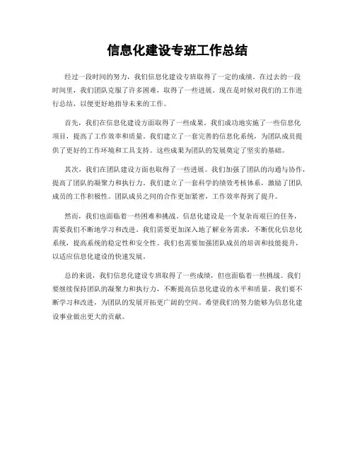 信息化建设专班工作总结