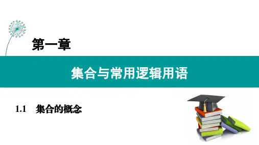 新人教版高中数学必修第一册集合与常用逻辑用语课件