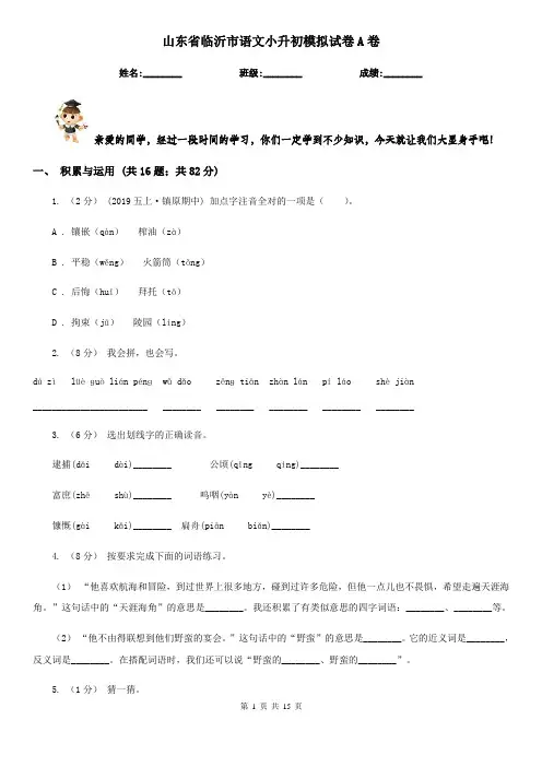 山东省临沂市语文小升初模拟试卷A卷