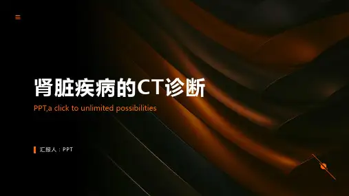 《肾脏疾病的CT诊断》课件
