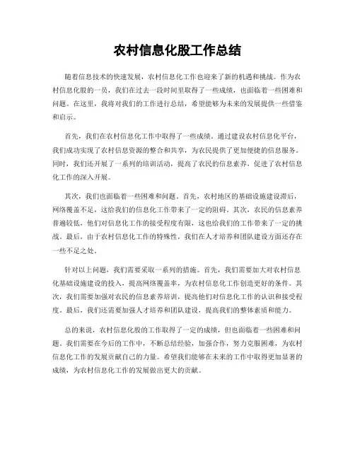 农村信息化股工作总结
