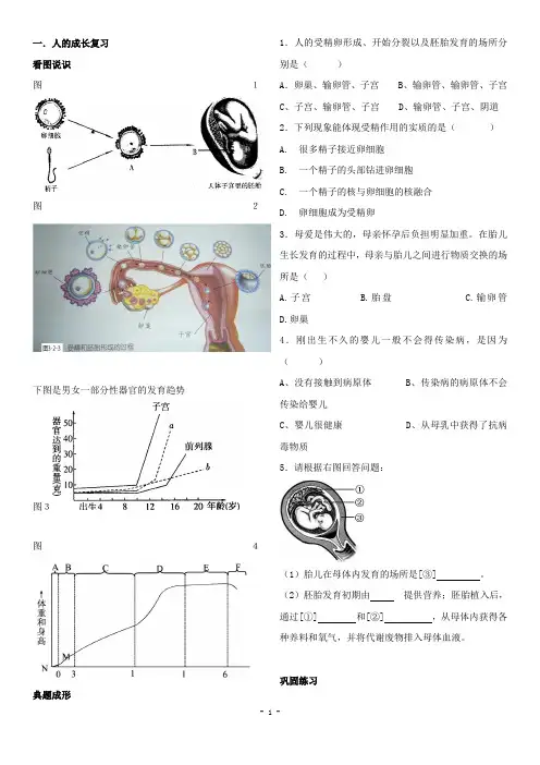 (浙教版)七年级科学下册第1章代代相传的生命专题复习：人的成长
