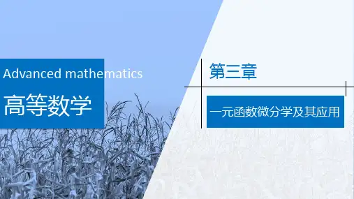 高等数学 第三章 一元函数微积分学及其应用