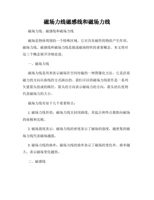 磁场力线磁感线和磁场力线